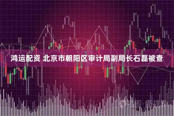 鸿运配资 北京市朝阳区审计局副局长石磊被查