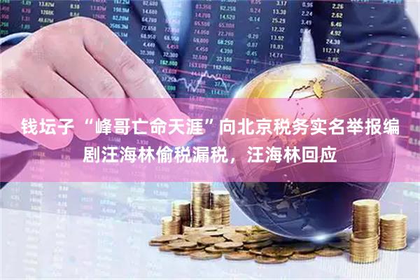 钱坛子 “峰哥亡命天涯”向北京税务实名举报编剧汪海林偷税漏税，汪海林回应